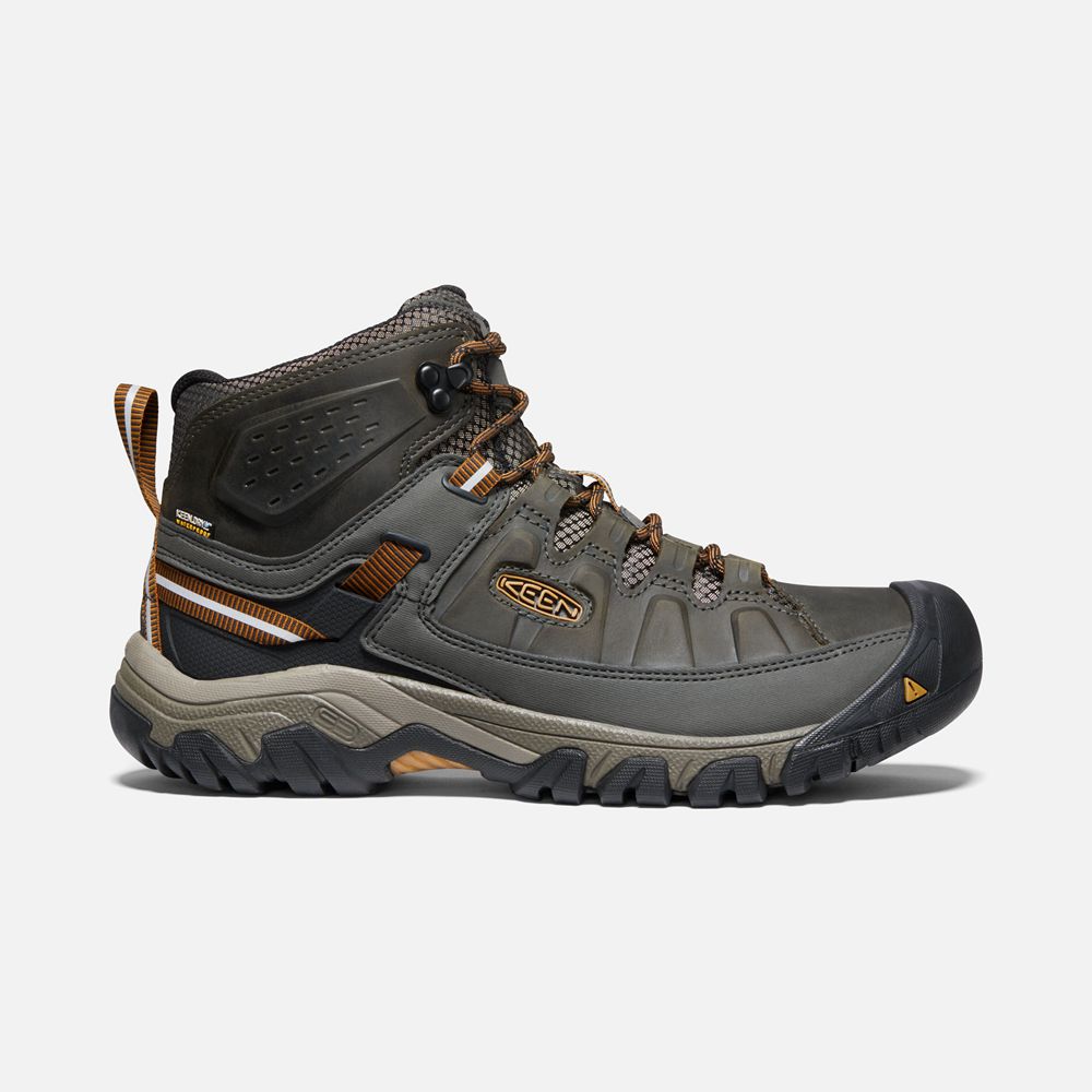 Keen Laarzen Heren Olijfgroen/Zwart - Targhee Iii Waterproof Mid - 87923-WVEK